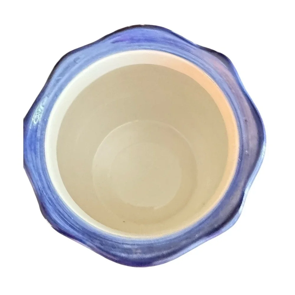 Whole Home Talavera Style Floral Ceramic Lidded Canister‎ jar Blue White